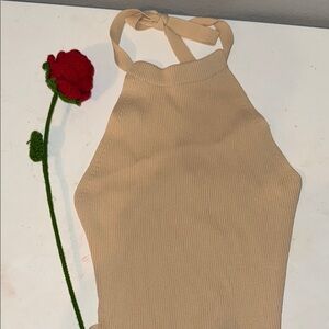 Zara Tan Ribbed Halter Top